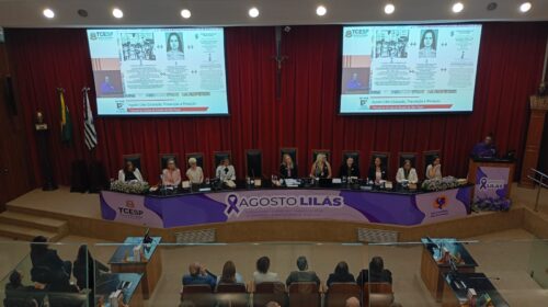 Agosto Lilás